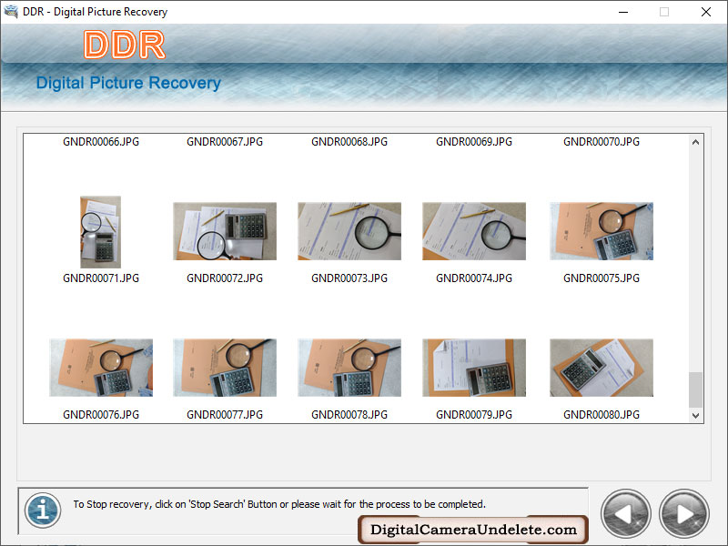 Screenshot of Digital Camera Undelete