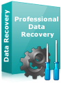 DDR Professional - Data Recovery