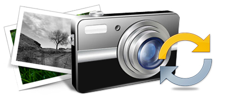 Digital Camera